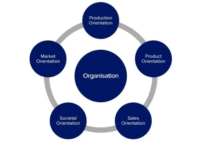 Orientation professionnelle stratégique